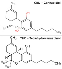 CBD cannabidiol et THC tétrahydrocannabinol molécules CBD cannabidiol et THC tétrahydrocannabinol molécules