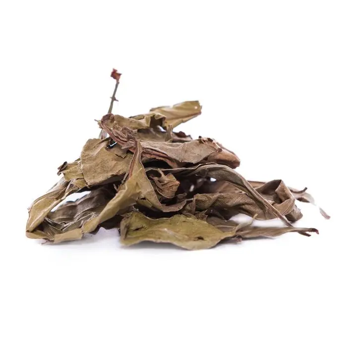 Chacruna Feuilles [Psychotria Viridis] (Indian Spirit) 25 grammes