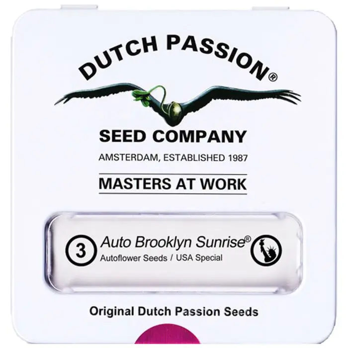 Auto Brooklyn Sunrise (Dutch Passion) 3 graines