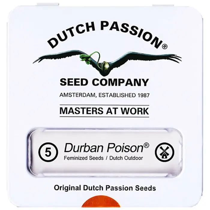 Durban Poison (Dutch Passion) 5 graines