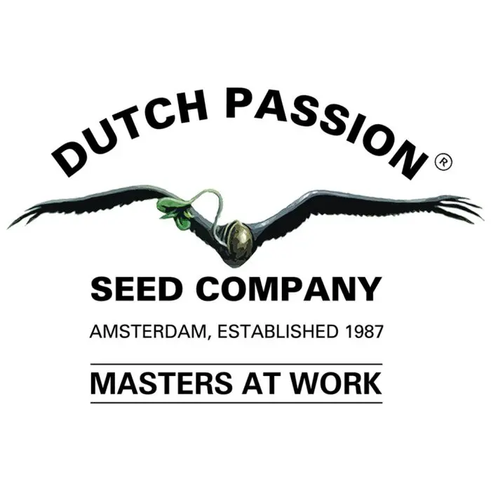 Durban Poison (Dutch Passion) 5 graines