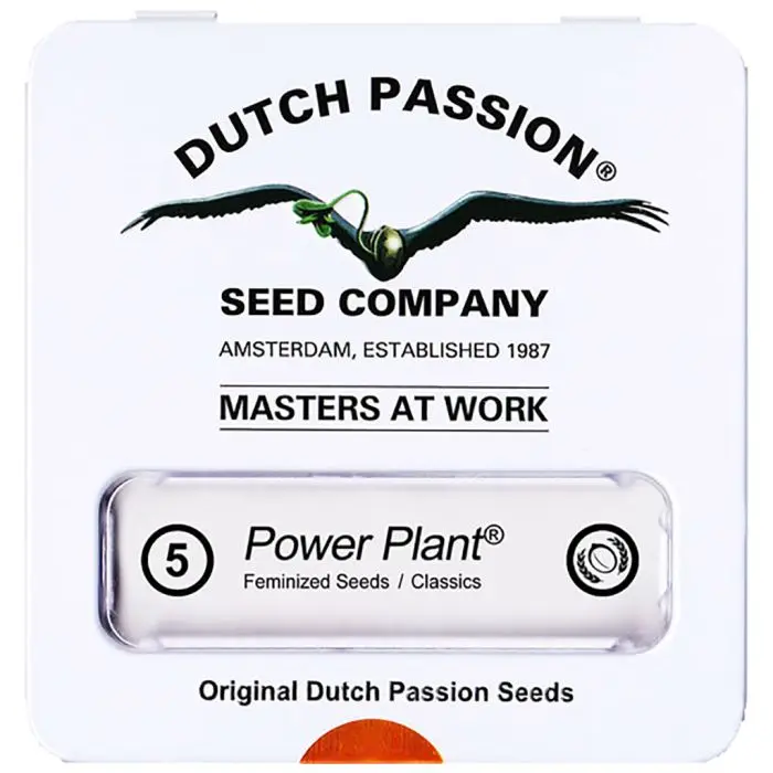 Power Plant (Dutch Passion) 5 graines