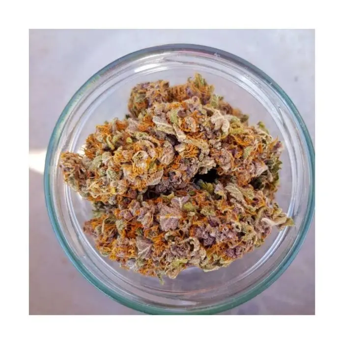 Purple Queen (Royal Queen Seeds)