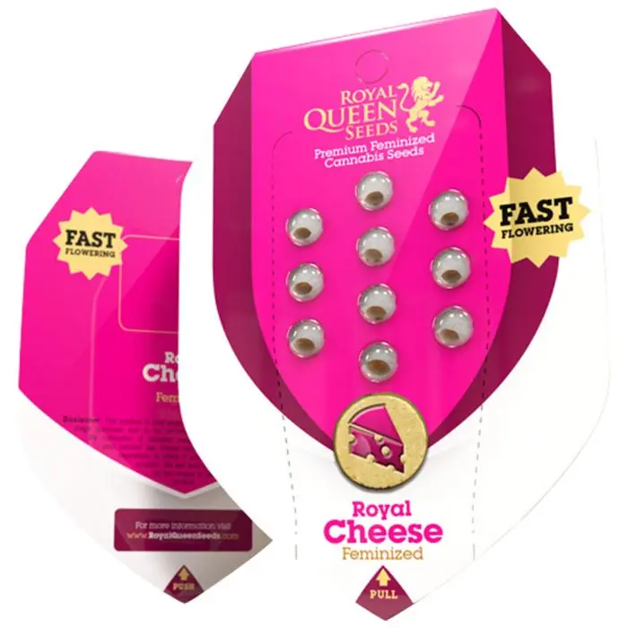 Royal Cheese Fast Flowering (Royal Queen Seeds) 5 graines