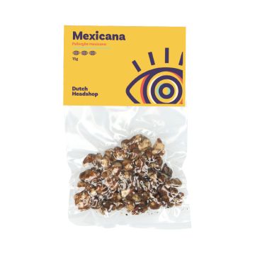 Truffes Magiques Mexicana (Marque Privée) 15 grammes