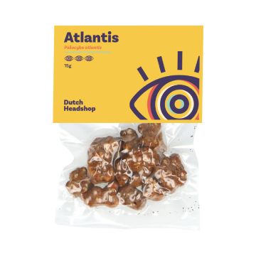 Truffes Magiques Atlantis (Marque Privée) 15 grammes