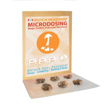 Truffes Magiques Mexicana Microdosage (Marque Privée) 6 x 1 gram
