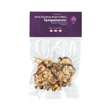 Truffes Magiques Tampanensis (Marque Privée) 15 grammes