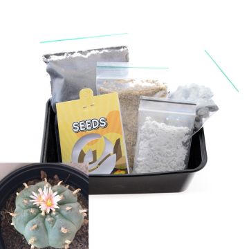 Kit de culture pour cactus Peyotl [Lophophora Williamsii] 20 graines