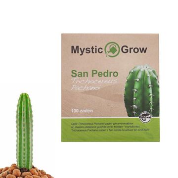Cactus Mescaline San Pedro [Echinopsis Pachanoi] (Mystic Grow) 100 graines