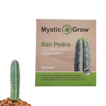 Cactus Mescaline Peruvian Torch [Echinopsis peruviana] (Mystic Grow) 100 graines