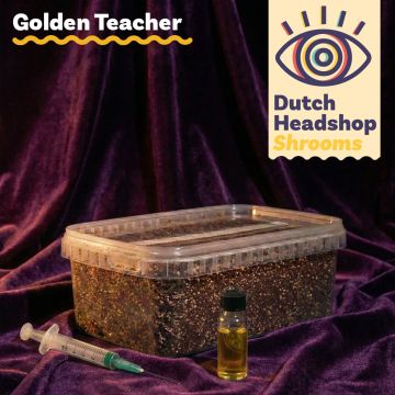 Bundle de Culture Liquide Golden Teacher avec Substrat