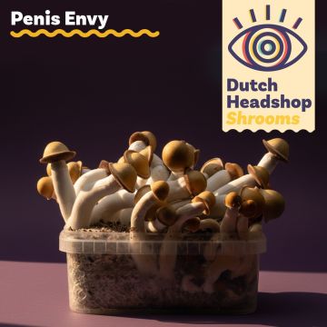 Kit de Culture de Champignons Magiques Penis Envy 1200cc (Marque Privée) 