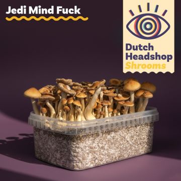 Kit de Culture de Champignons Magiques Jedi Mind Fuck 1200cc (Marque Privée