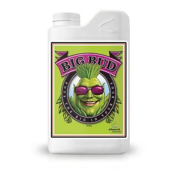 Big Bud | Stimulateur de Floraison (Advanced Nutrients) 250 ml