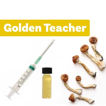 Culture de Champignons Magique | Liquid Culture Golden Teacher