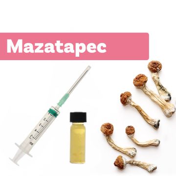 Culture de Champignons Magique | Liquid Culture Mazatapec