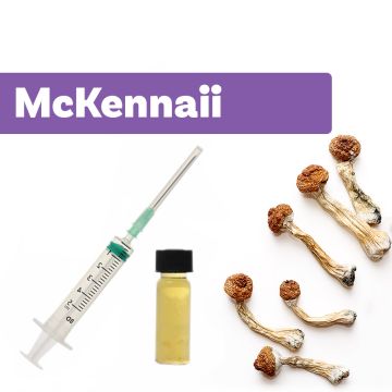 Culture de Champignons Magique | Liquid Culture McKennaii