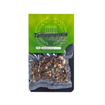 Truffes Magiques Tampanensis 15 grammes