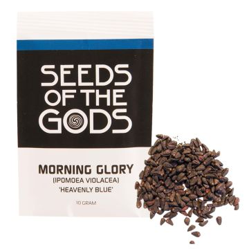 Graines de Morning Glory [Ipomoea Violacea] (Seeds of the Gods) 10 grammes
