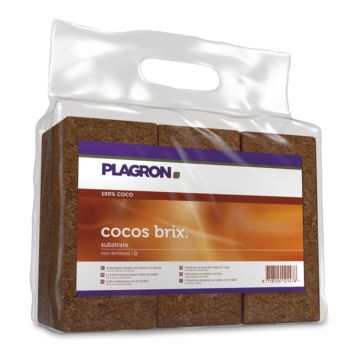 Cocos Brix (Plagron) 6 pìeces