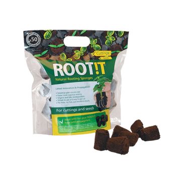 Éponges de Bouturage Naturelles (ROOT!T) 50 pièces