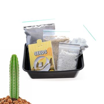 Kit de culture pour cactus San Pedro [Echinopsis Pachanoi] 20 graines