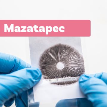 Impression de Spores Champignons Magiques | Mazatapec