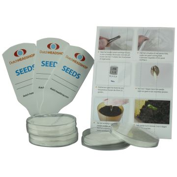 Kit de Germination des Graines Dutch-Headshop