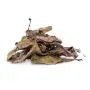 Chacruna Feuilles [Psychotria Viridis] (Indian Spirit) 25 grammes
