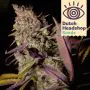 Auto Alaskan Thunderfuck (Marque Privée)