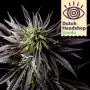 Fast Granddaddy Purple (Marque Privée)