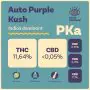 Auto Purple Kush (Marque Privée)