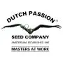 Durban Poison (Dutch Passion) 5 graines