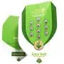 Easy Bud Autofloraison (Royal Queen Seeds) 5 graines