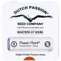 Power Plant (Dutch Passion) 5 graines