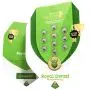 Royal Dwarf Autofloraison (Royal Queen Seeds) 5 graines