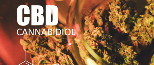 Tout ce que vous devez savoir sur l’achat et la consommation de cannabis contenant du CBD ?