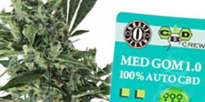 Quel est l’effet du THC et du CDB?