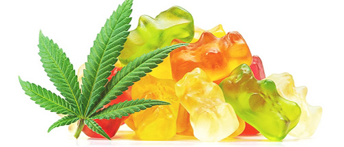 Recette de cannabis comestible : Oursons au THC