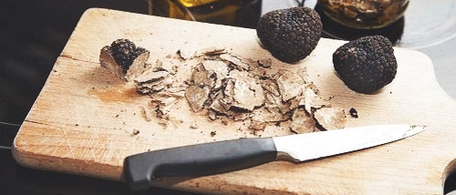 5 Conseils pour Manger des Truffes et des Champignons Magiques