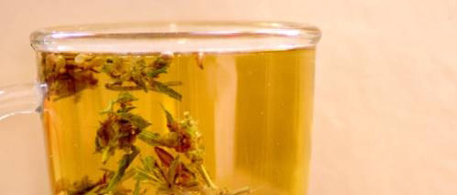 Faire du Thé au Cannabis Rapidement et Facilement