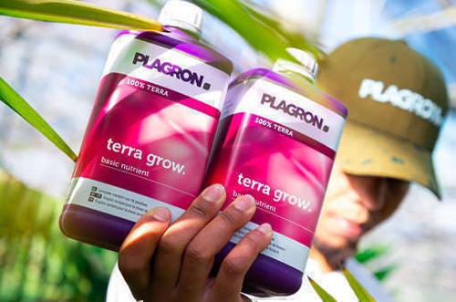 Plantenvoeding voor wietplanten.