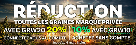10% de réduction sur toutes les graines de cannabis Marque Privée et jusqu’à 20% si vous vous connectez à votre compte. Pas encore de compte ? Créez-en un maintenant ! C’est gratuit et vous bénéficiez immédiatement d’une réduction supplémentaire !
