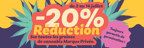 Achetez des graines de cannabis avec 20 % de réduction!