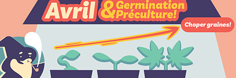 Germination & Préculture!