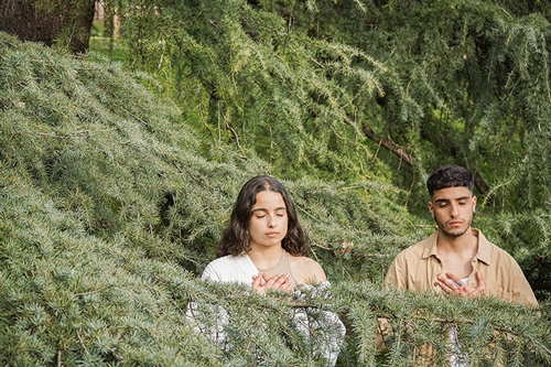 méditation dans le bois