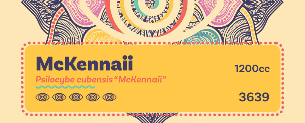 Les varietes de cubensis se reconnaissent chez Dutch-Headshop a l'autocollant jaune.