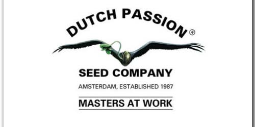 Dutch Passion Graines logo Dutch Headshop