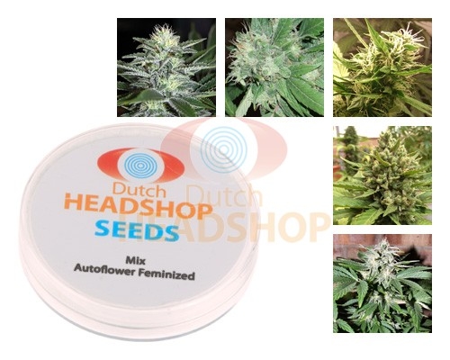 Mix Autoflowers Zaden Huismerk Dutch Headshop